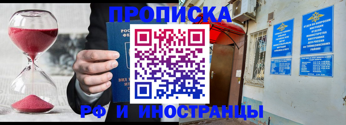 прописка 2025 в Жуковском